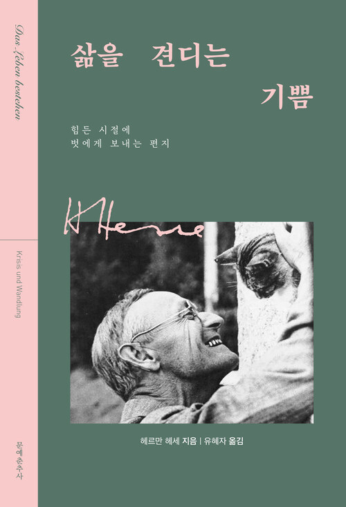 삶을 견디는 기쁨 - 힘든 시절에 벗에게 보내는 편지 (커버이미지)