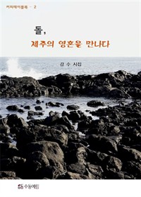 돌, 제주의 영혼을 만나다 (커버이미지)