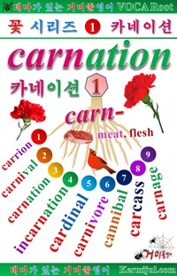 테마가 있는 거미줄영어 - 꽃시리즈 [1] 카네이션 (커버이미지)