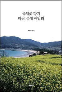 유채꽃 향기 바람 끝에 매달려 (커버이미지)